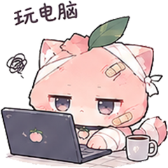 T玩电脑
