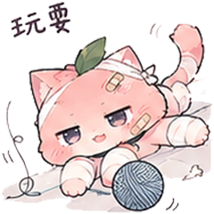 T玩耍